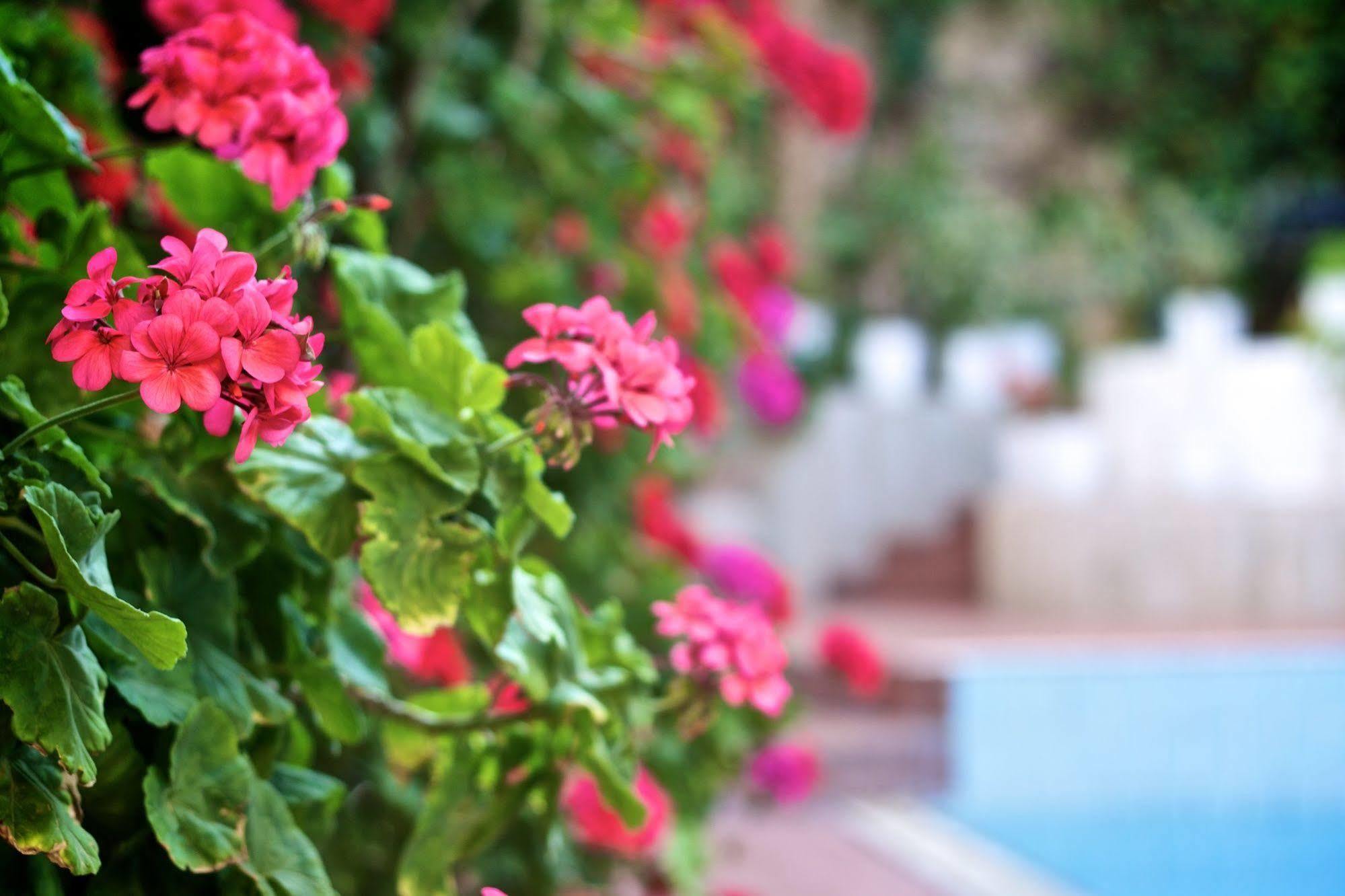 Fortezza Hotel Rethymno  Exterior photo